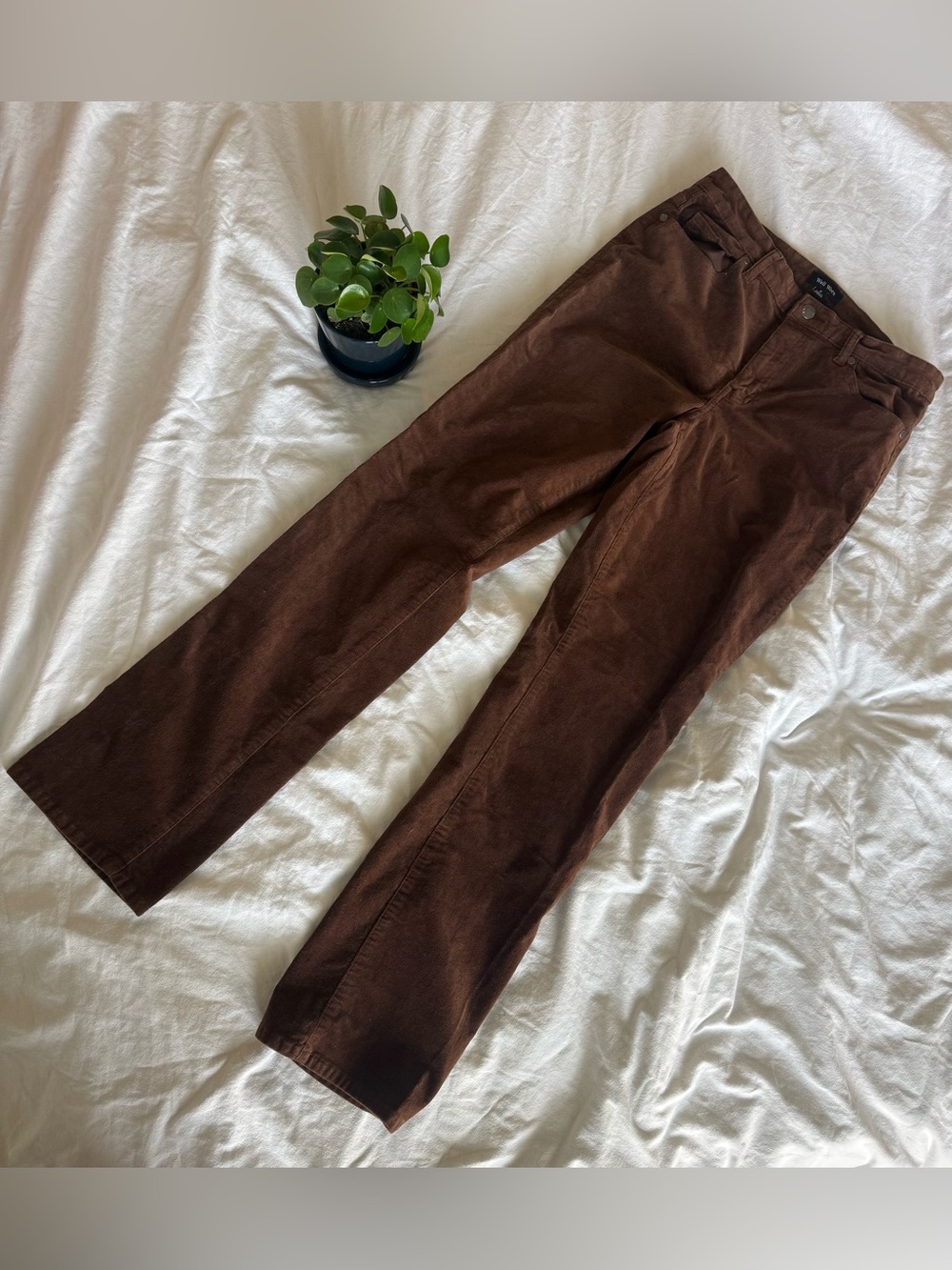 Well Worn Women's Dark Brown Corduroy Pants